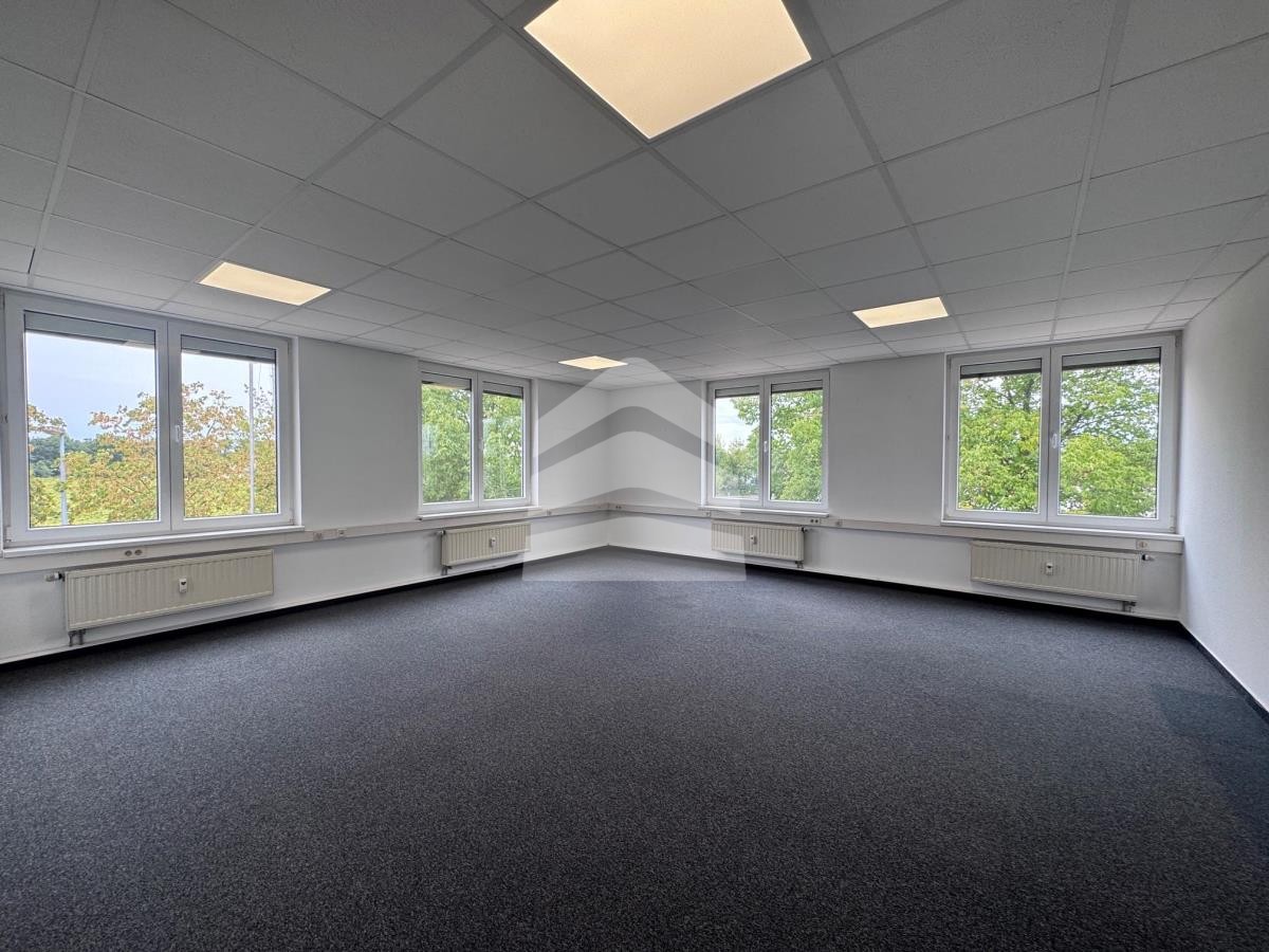 Objekt-Bild